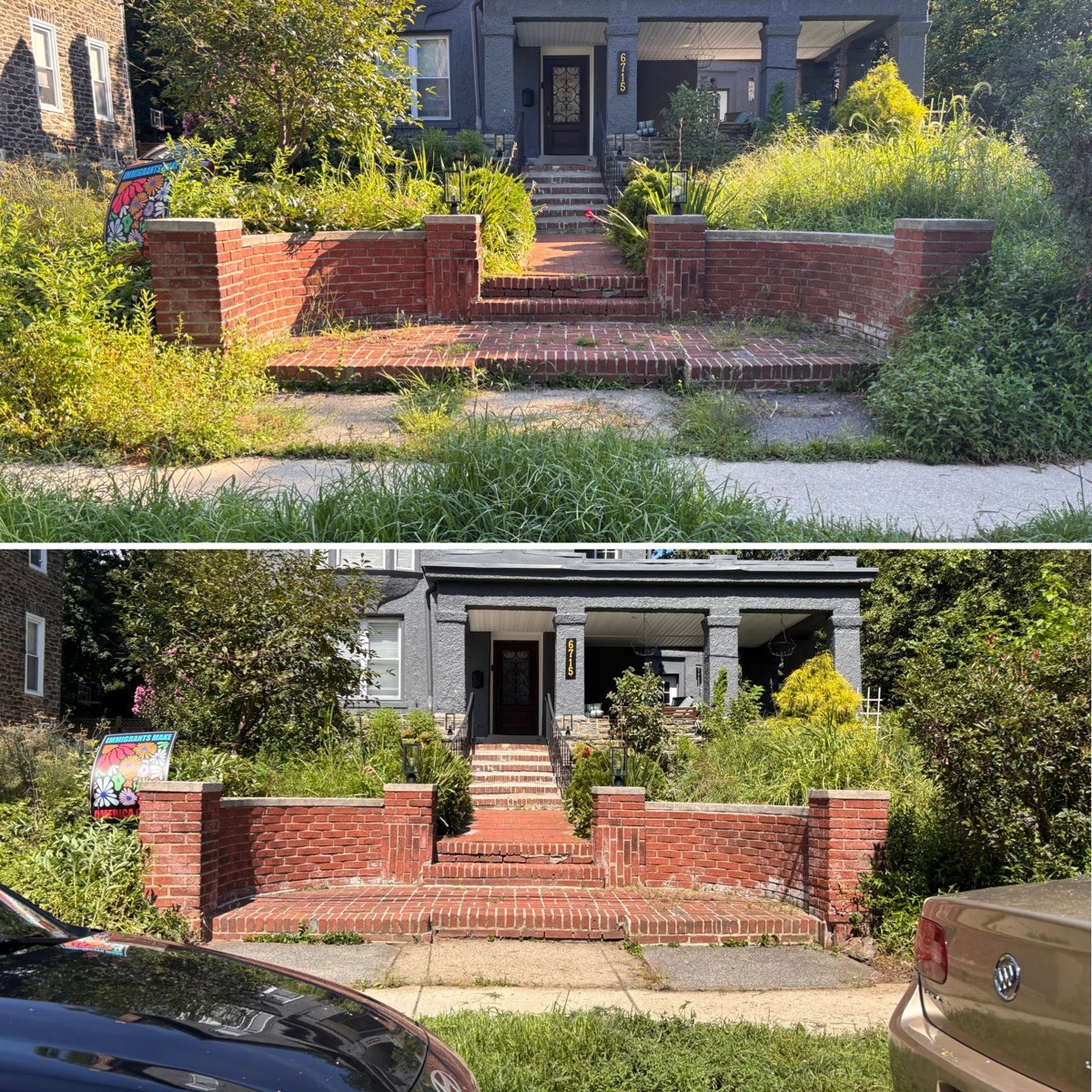 Before and after: the front garden of a private stone home in West Mount Airy, first overgrown with weeds, then tidied and thriving